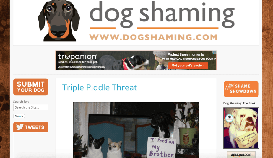 best puppy website