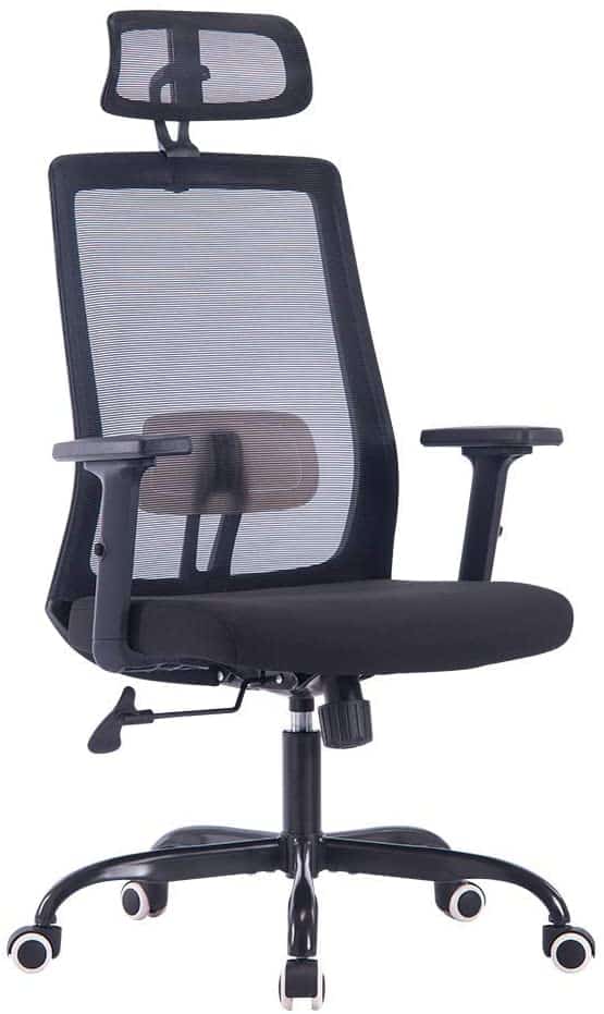 The Best Ergonomic Office Chairs For Back Pain In 2022 | RAVE Reviews